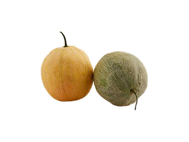 Melone retato h.27 ass.250423,73