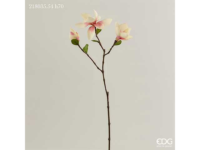 Magnolia x3rami crema h70cm 218035.54