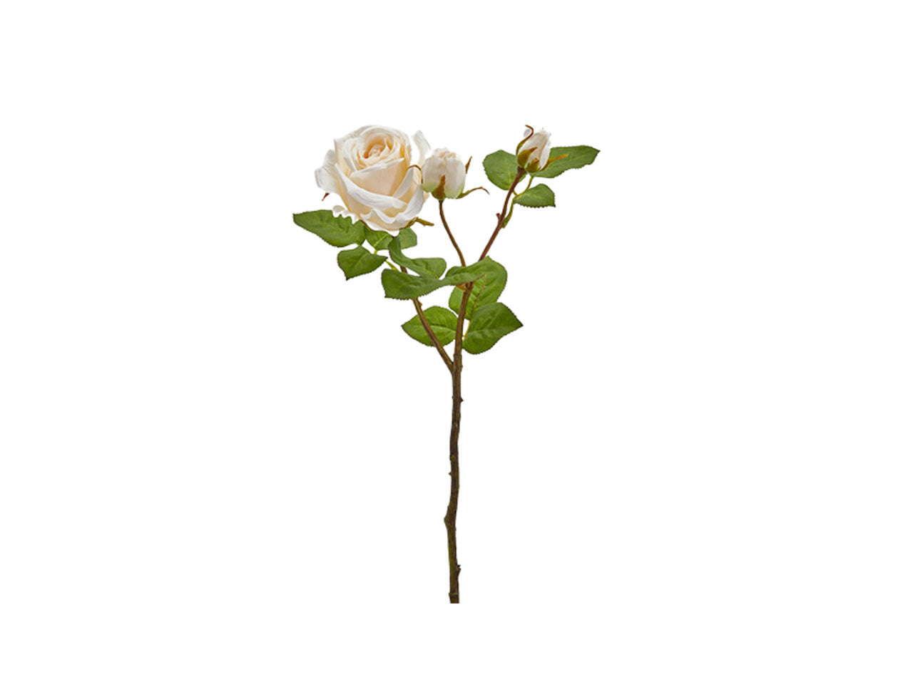 Rosa elis ramo x3 h.48 avorio 214895,12