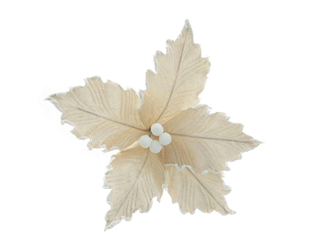 Fiore small - champagne
