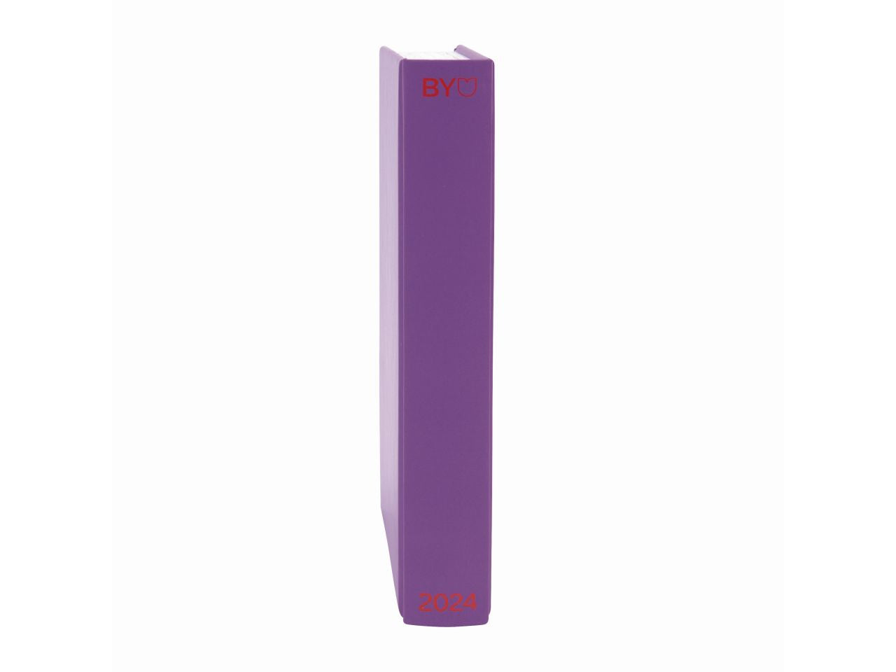 Beyou 23 24 agenda color standard