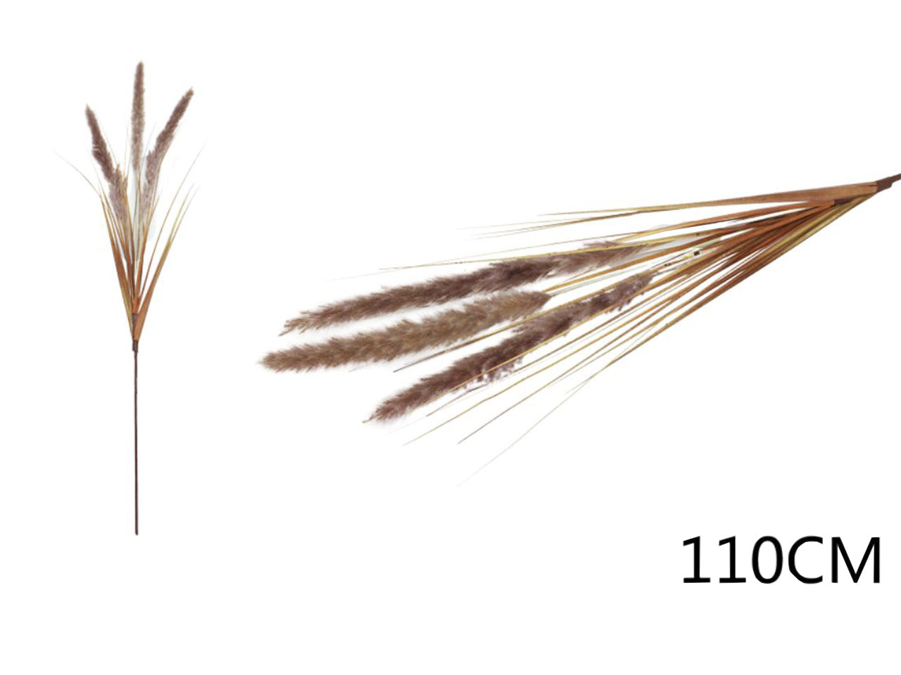 Ramo pampas di campo 110cm