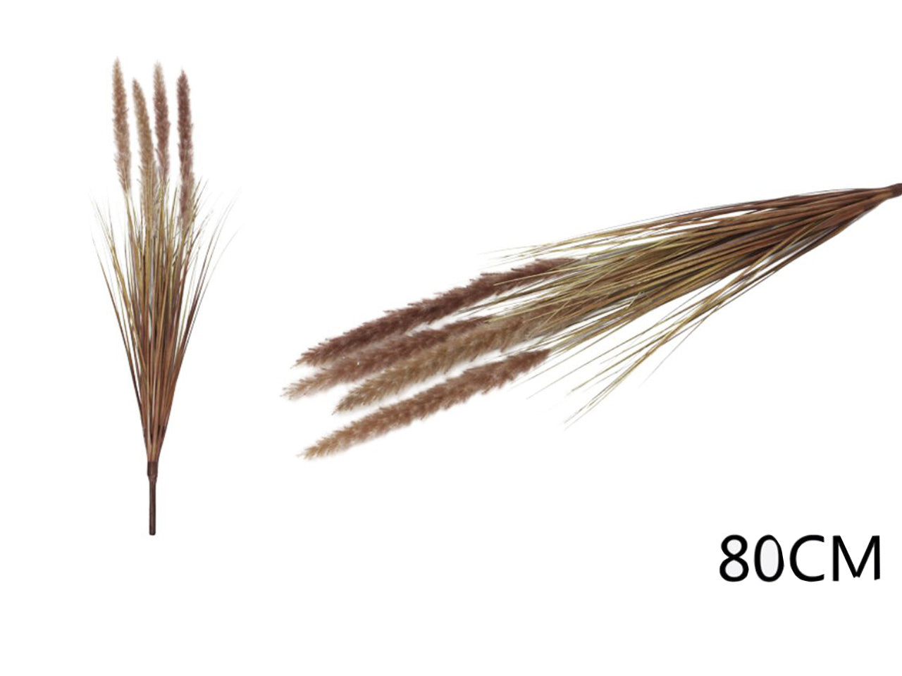 Ramo pampas di campo 80cm