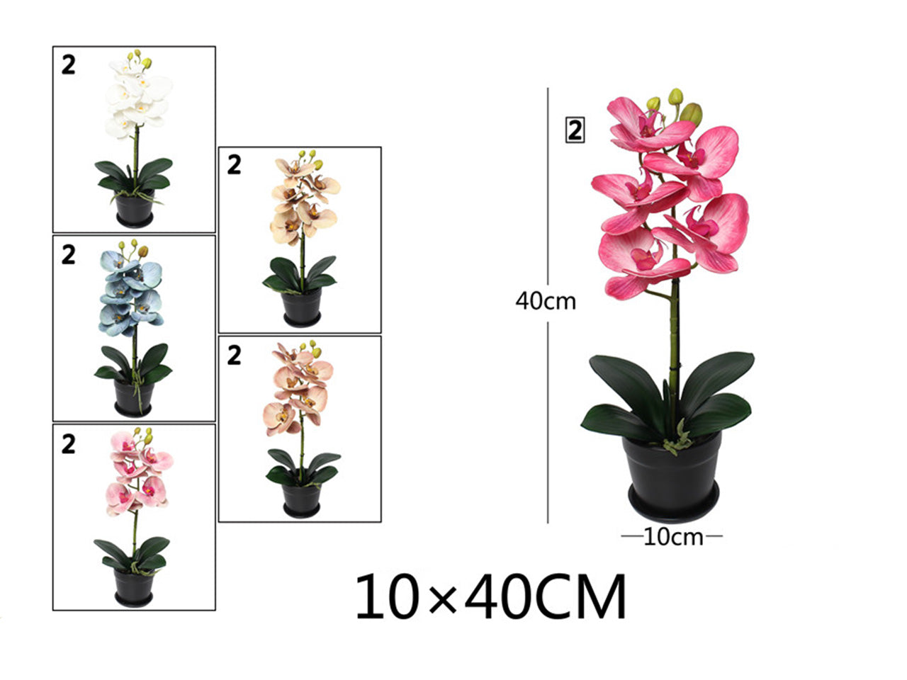 Pianta orchidea 10x40cm