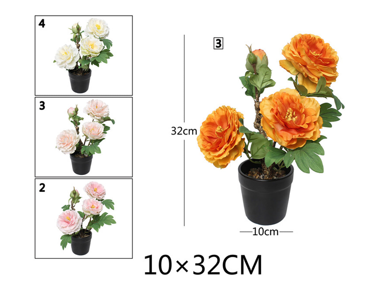 Pianta peonia 10x32cm