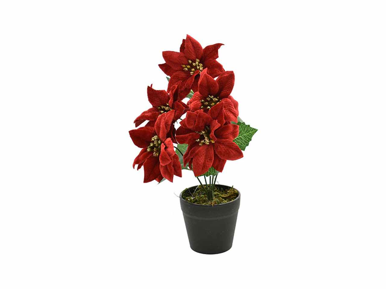 Stella natale con vaso rosso d.8x27xh20