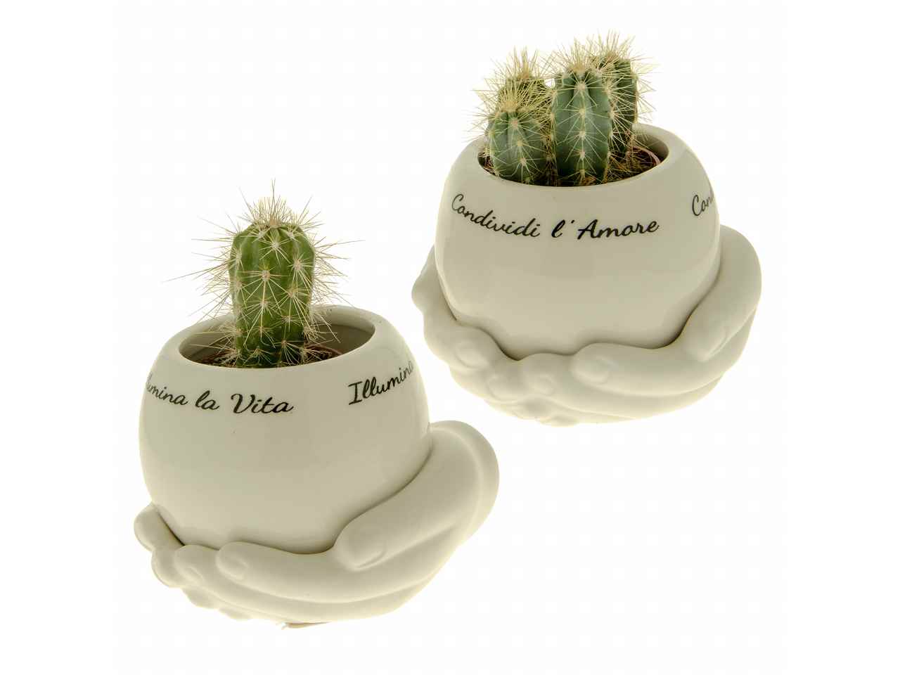 PORTA PIANTE CON ILLUMINAZIONE 11XH8CM