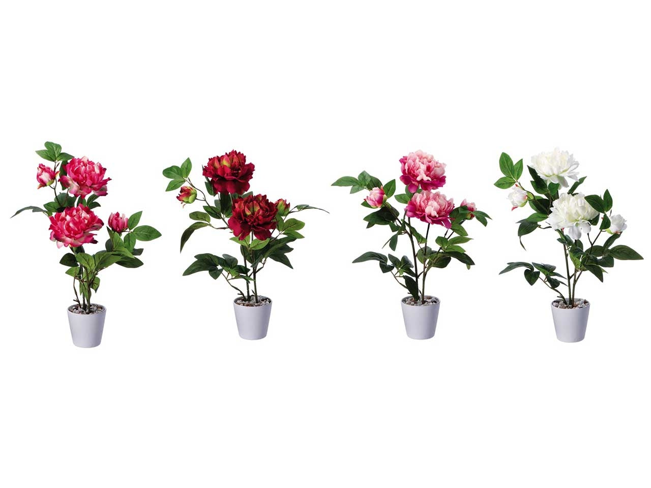 Piantina peonia finta in vaso di melamina - colore assortiti realistica e flessibile con fogliame opaco - d.12xh.58cm - Star