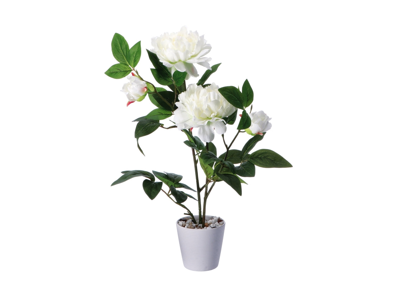Piantina peonia finta in vaso di melamina - colore assortiti realistica e flessibile con fogliame opaco - d.12xh.58cm - Star