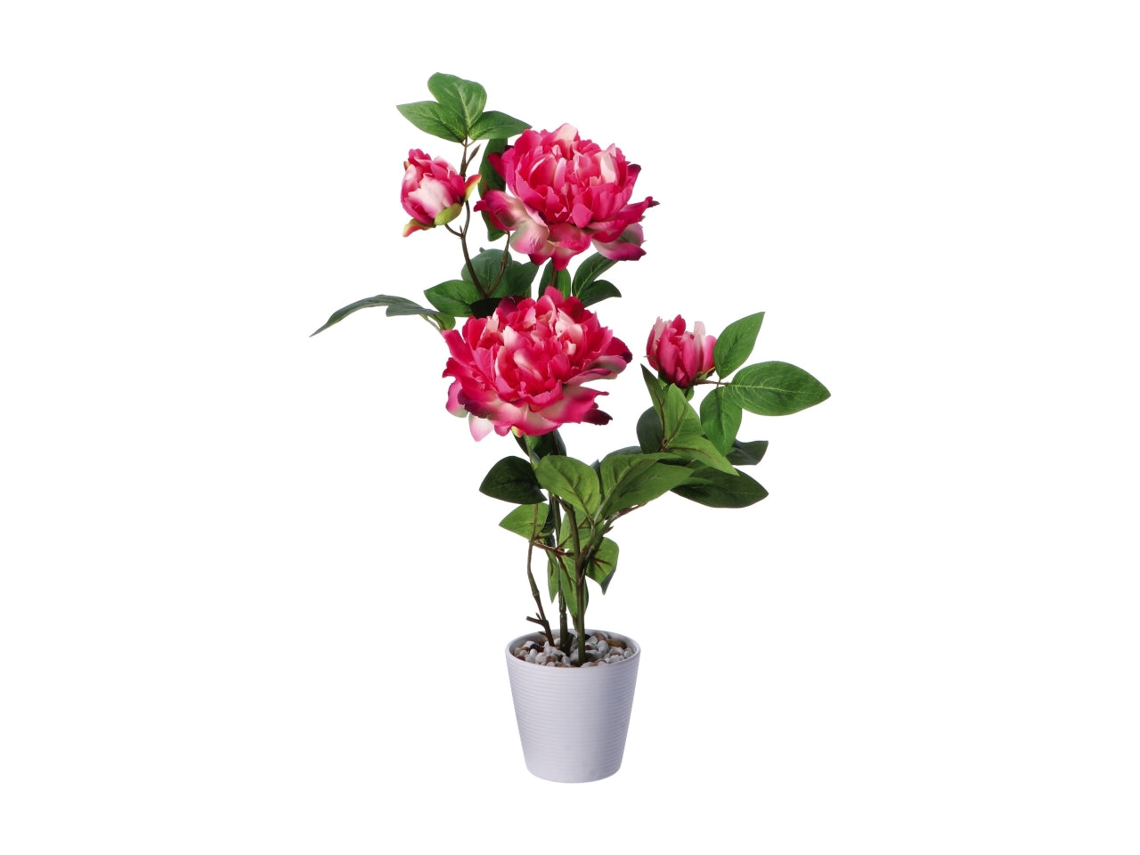 Piantina peonia finta in vaso di melamina - colore assortiti realistica e flessibile con fogliame opaco - d.12xh.58cm - Star