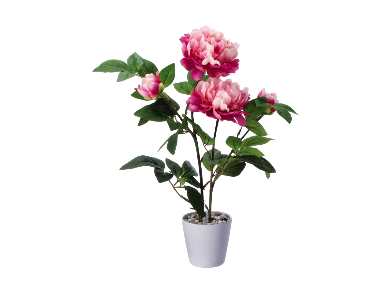 Piantina peonia finta in vaso di melamina - colore assortiti realistica e flessibile con fogliame opaco - d.12xh.58cm - Star