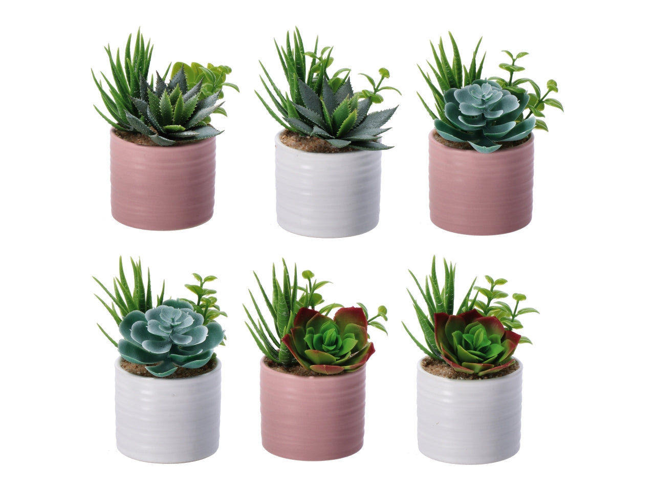 Piantina grassa artificiale con vaso ceramica in colori assortiti in poliestere 7,5x13 cm - AD Trend