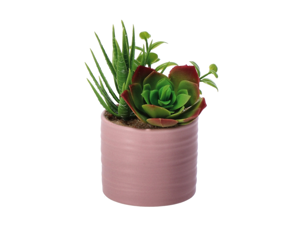 Piantina grassa artificiale con vaso ceramica in colori assortiti in poliestere 7,5x13 cm - AD Trend