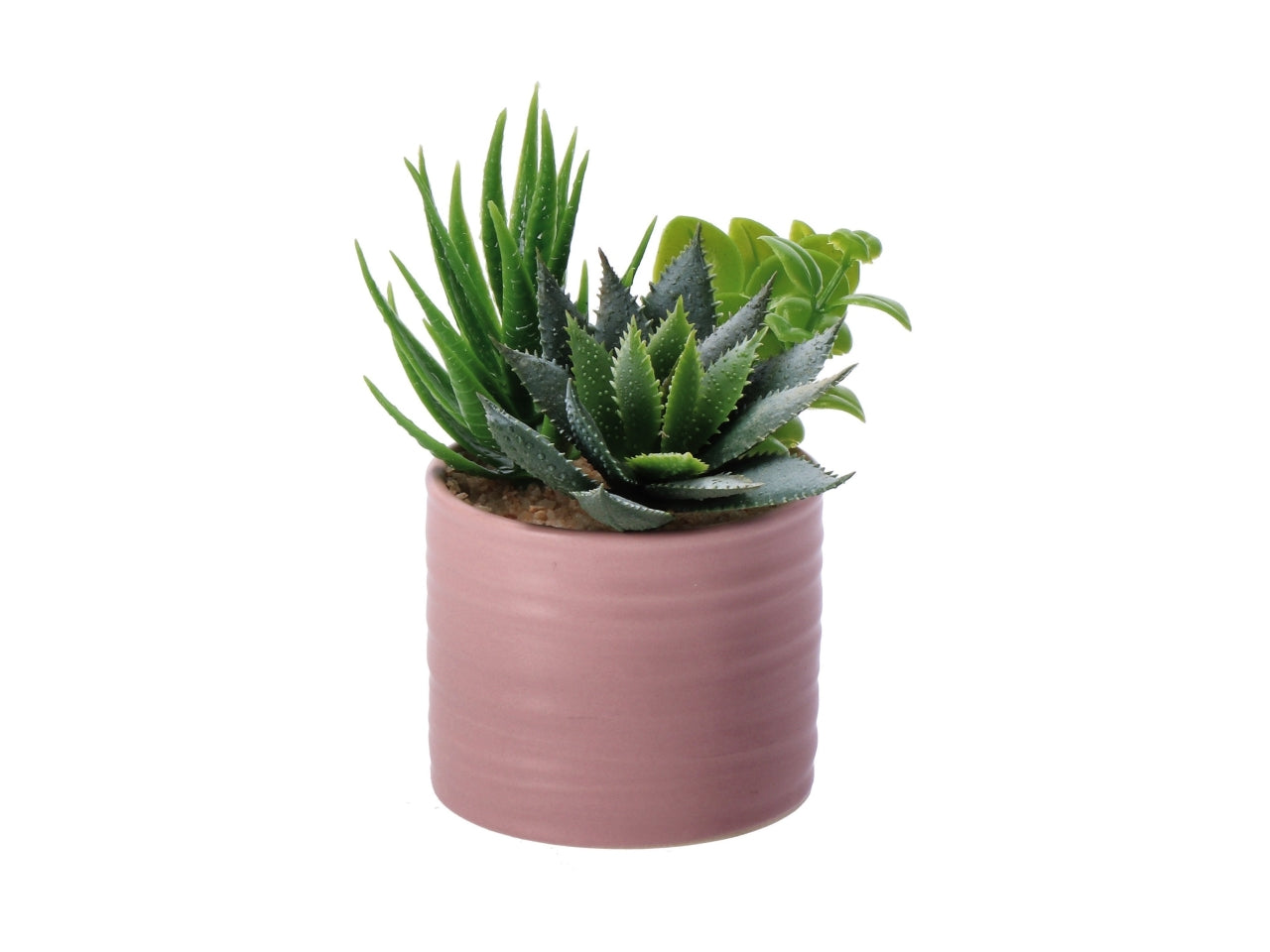 Piantina grassa artificiale con vaso ceramica in colori assortiti in poliestere 7,5x13 cm - AD Trend