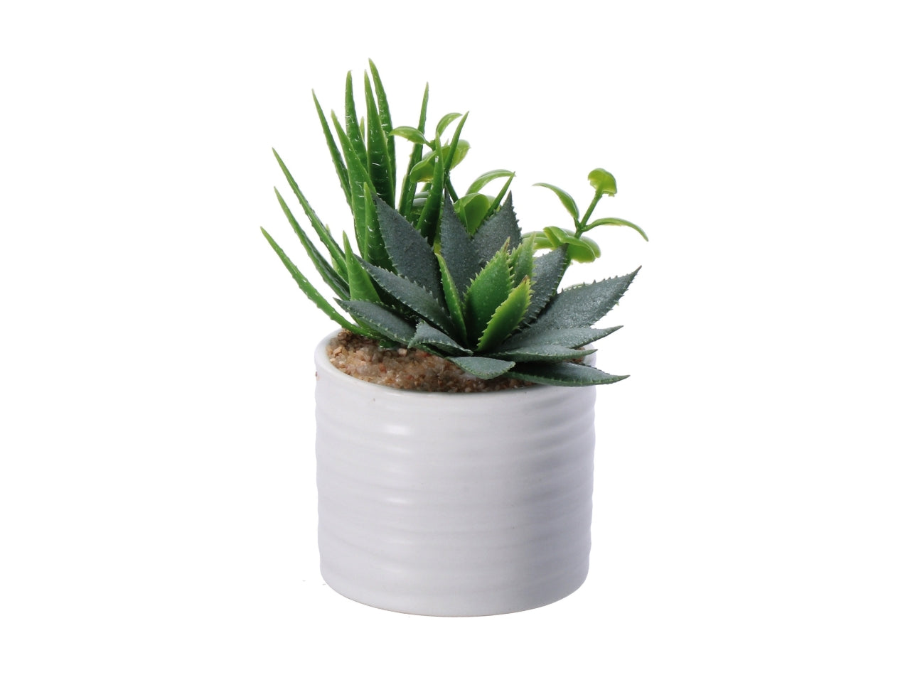 Piantina grassa artificiale con vaso ceramica in colori assortiti in poliestere 7,5x13 cm - AD Trend