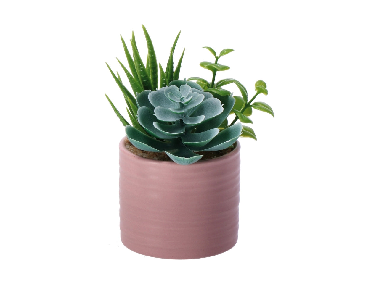 Piantina grassa artificiale con vaso ceramica in colori assortiti in poliestere 7,5x13 cm - AD Trend
