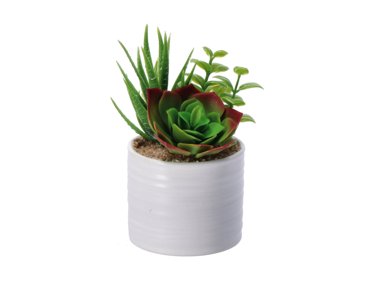 Piantina grassa artificiale con vaso ceramica in colori assortiti in poliestere 7,5x13 cm - AD Trend