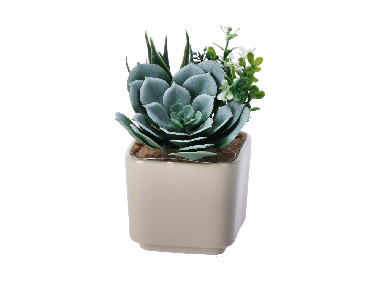 Piantina grassa artificiale con vaso ceramica colori assortiti in poliestere 8x8x14 cm  - AD Trend