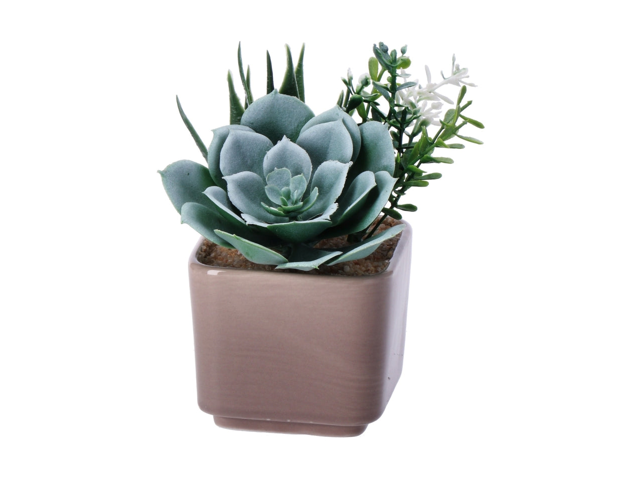Piantina grassa artificiale con vaso ceramica colori assortiti in poliestere 8x8x14 cm  - AD Trend