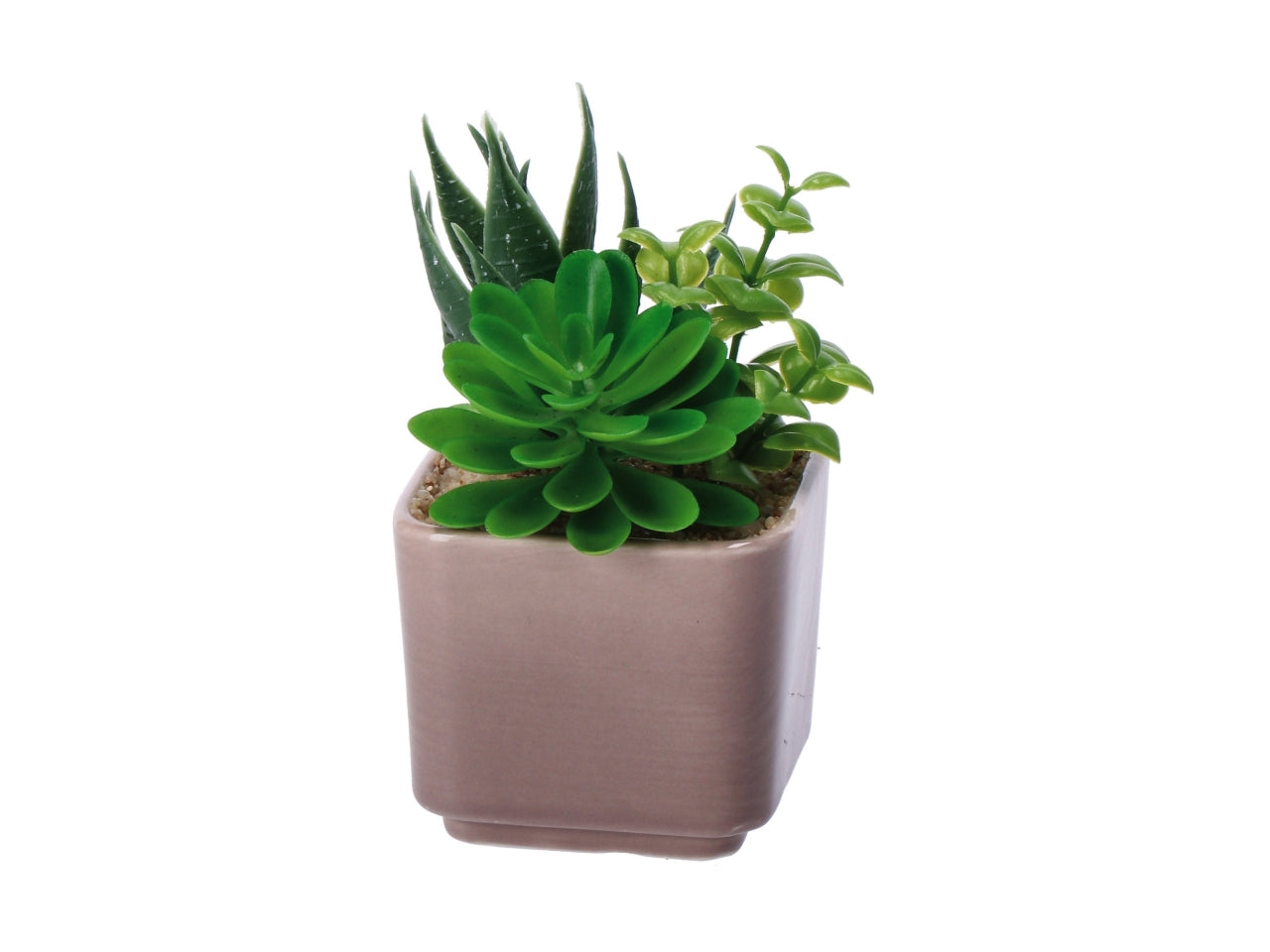 Piantina grassa artificiale con vaso ceramica colori assortiti in poliestere 8x8x14 cm  - AD Trend