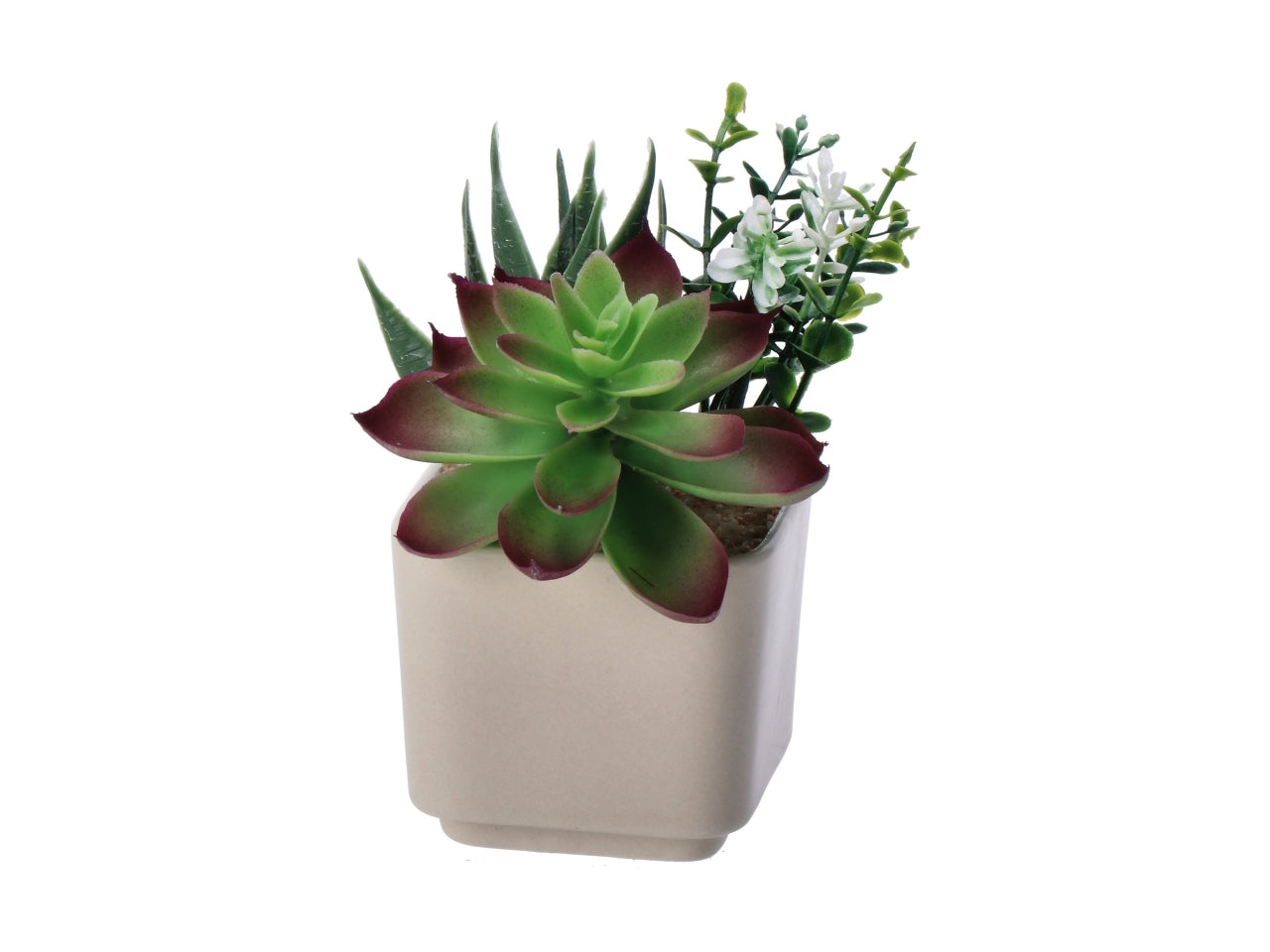 Piantina grassa artificiale con vaso ceramica colori assortiti in poliestere 8x8x14 cm  - AD Trend