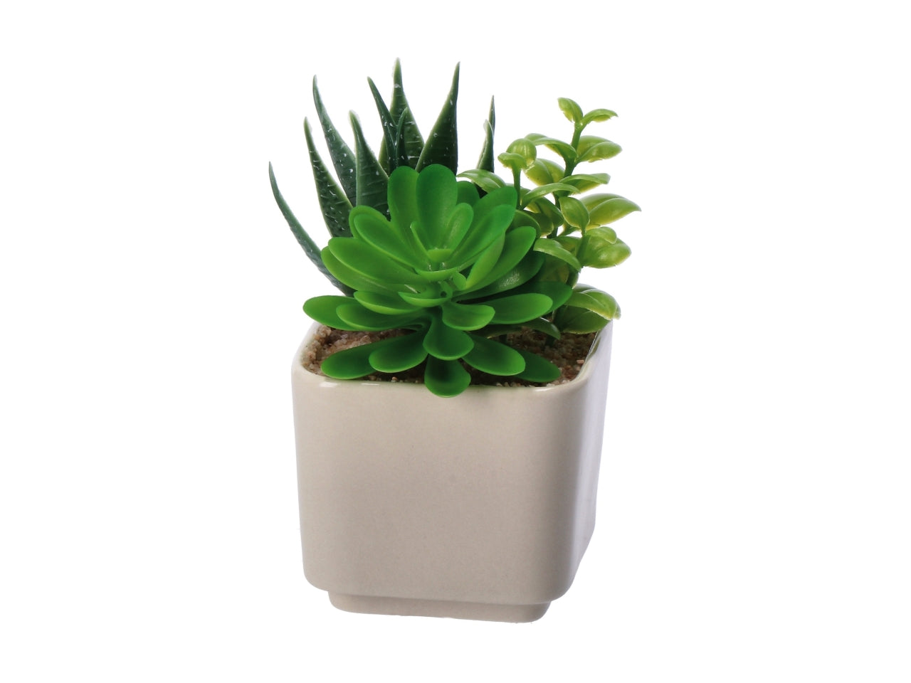Piantina grassa artificiale con vaso ceramica colori assortiti in poliestere 8x8x14 cm  - AD Trend