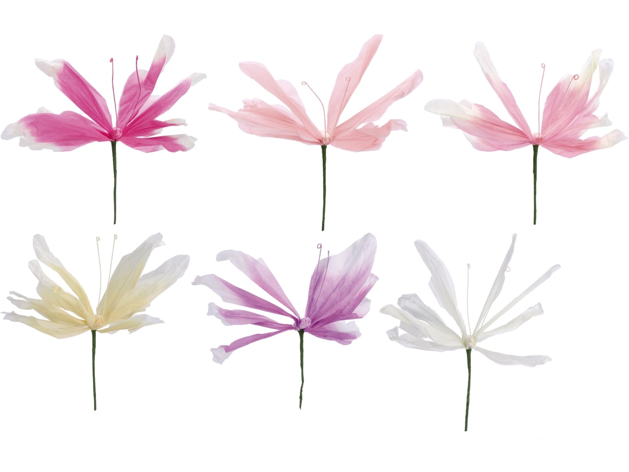 Farfalla di carta 33x60cm 6 colori assortiti