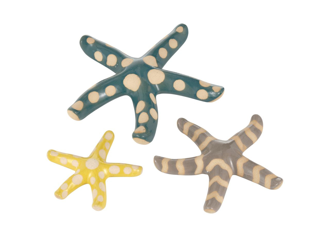 Stelle marine tortora azzurra e gialla assortite