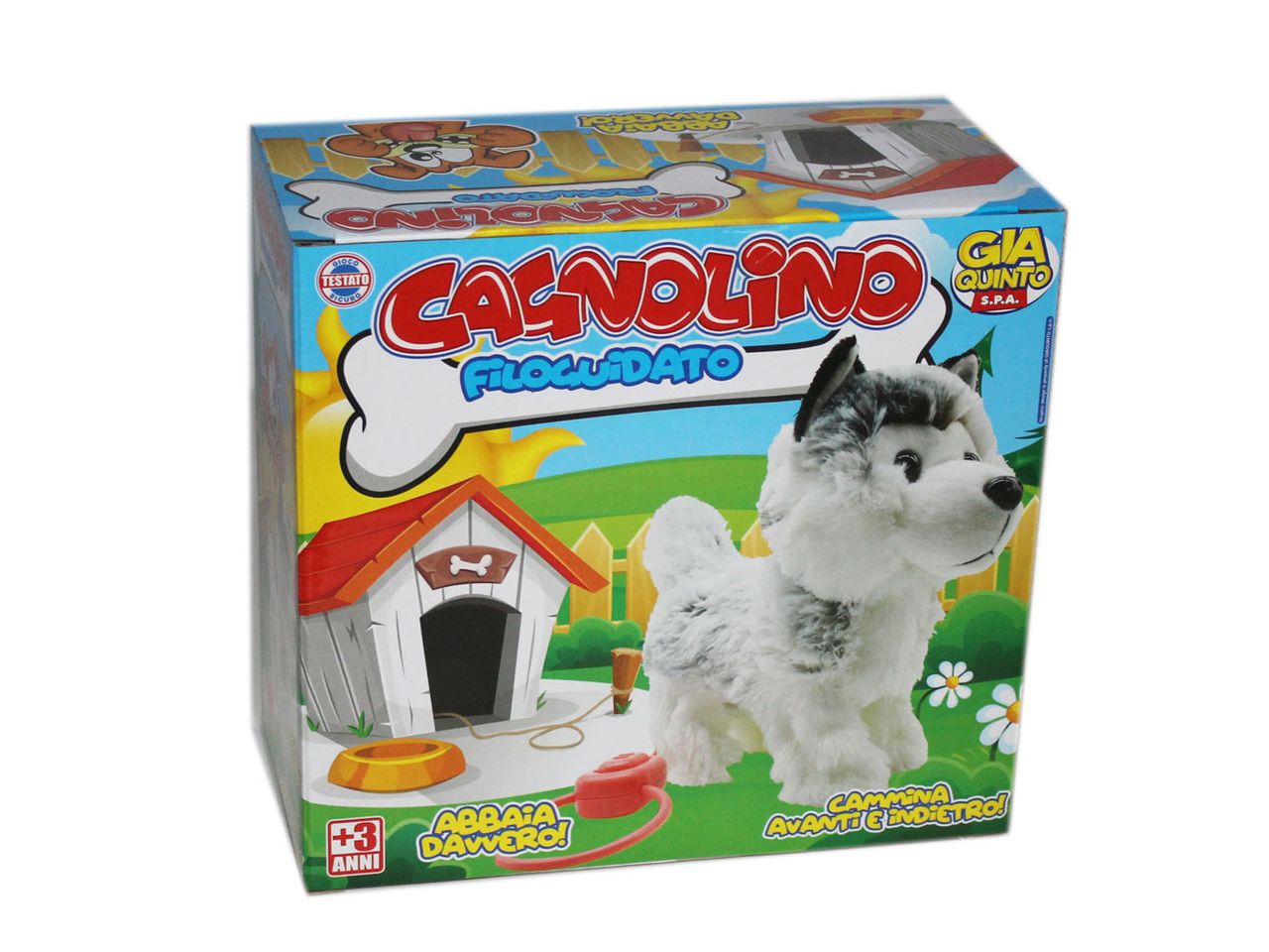Cagnolino con filo husky