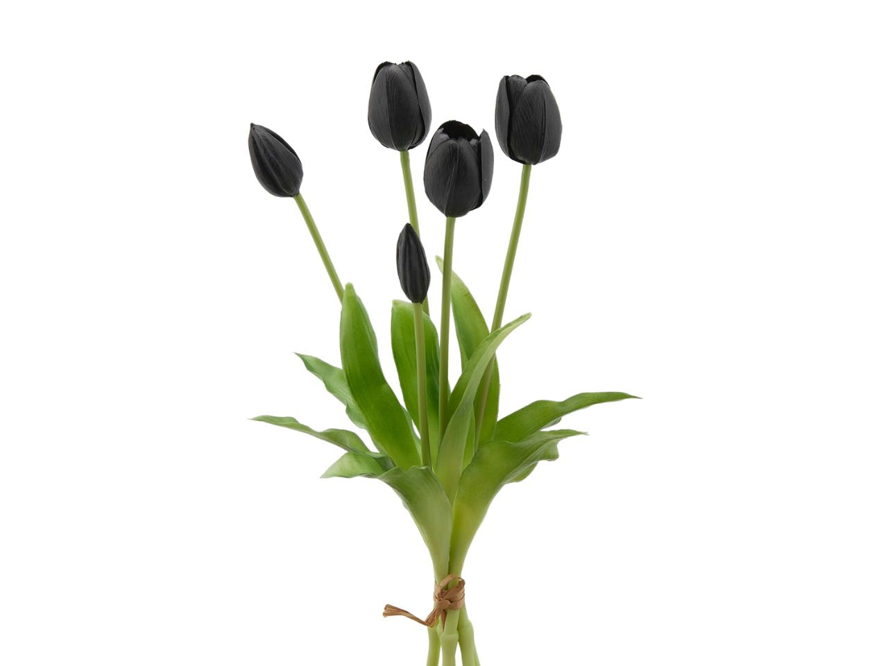 Mazzo di tulipani nero gommato h.40cm