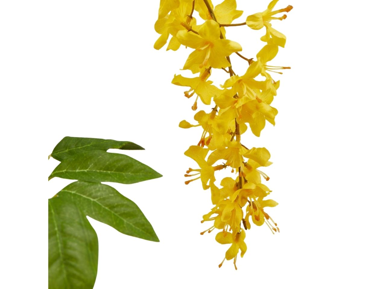 Cassia rex ramo x2 h105 gialla 215803,20