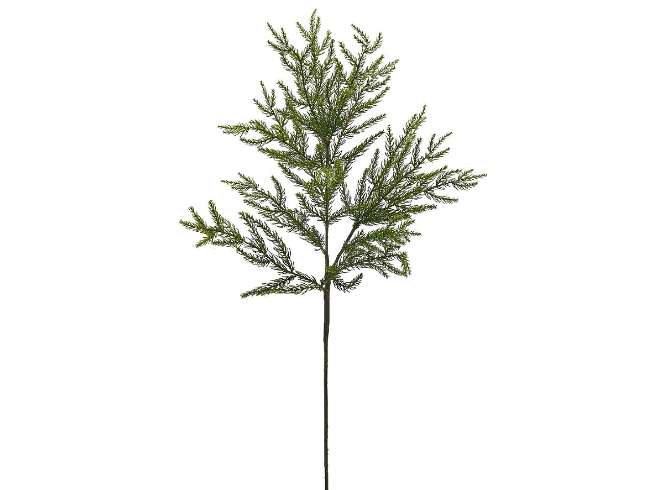 Ramo di cryptomeria l.84cm verde