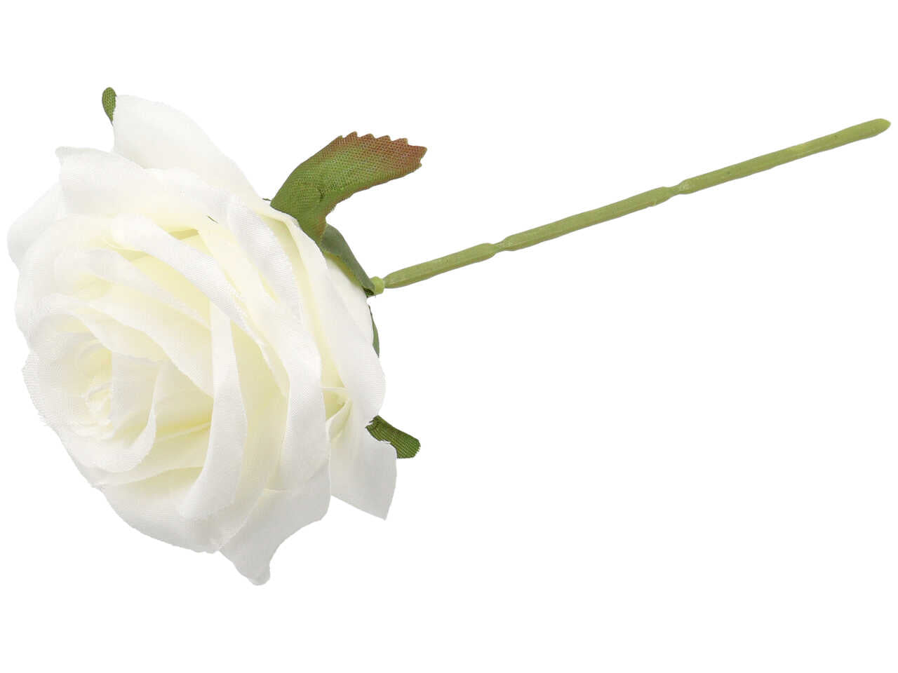 Rosa panna 6 pezzi ck9056 p