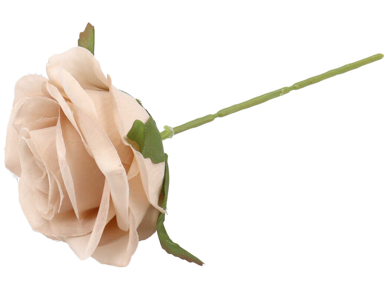 Rosa beige 6 pezzi ck9056 bei