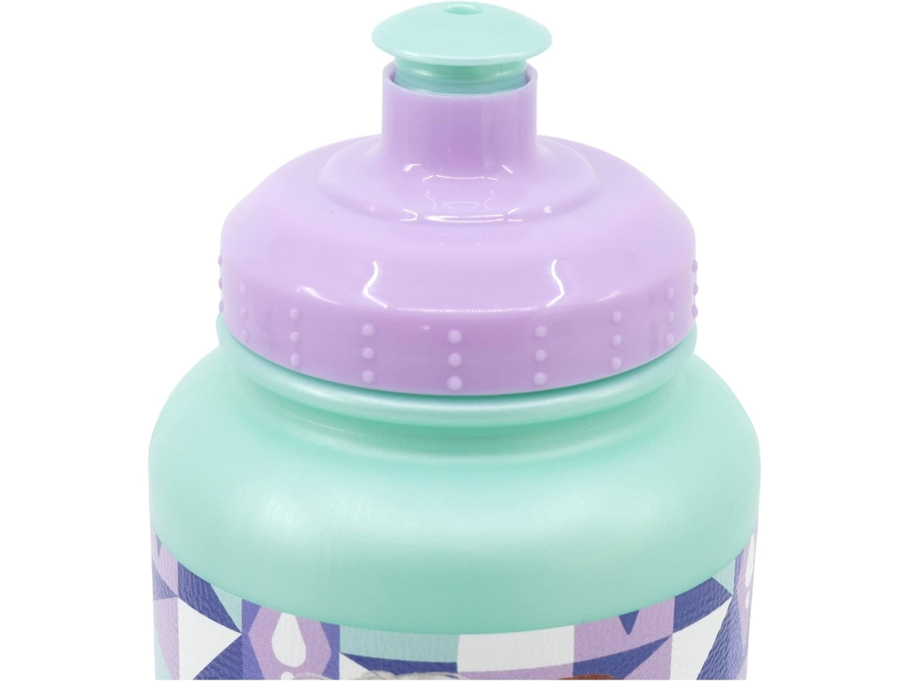 Borraccia sport bottle frozen 430ml