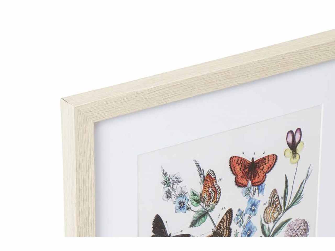 Quadro 35x45 farfalle cu-187434