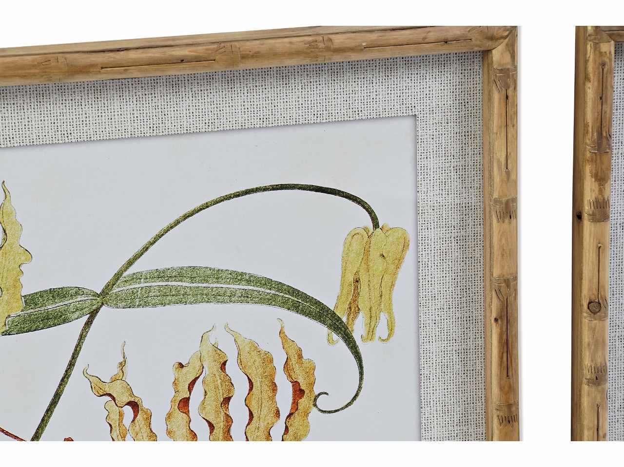 Quadro 50x60cm botanico cu-187493