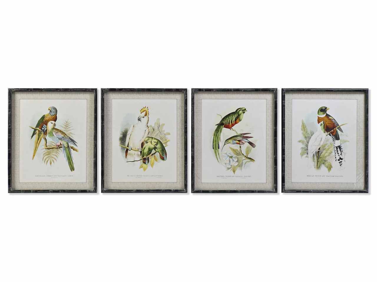 Quadro 50x2x60cm uccelli ass.cu-187494