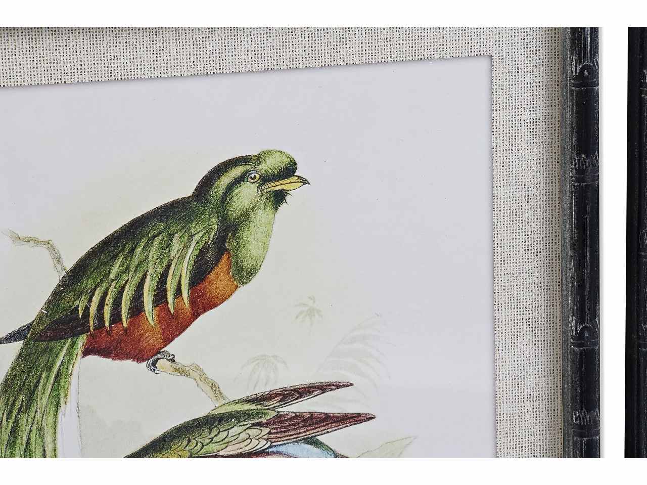 Quadro 50x2x60cm uccelli ass.cu-187494