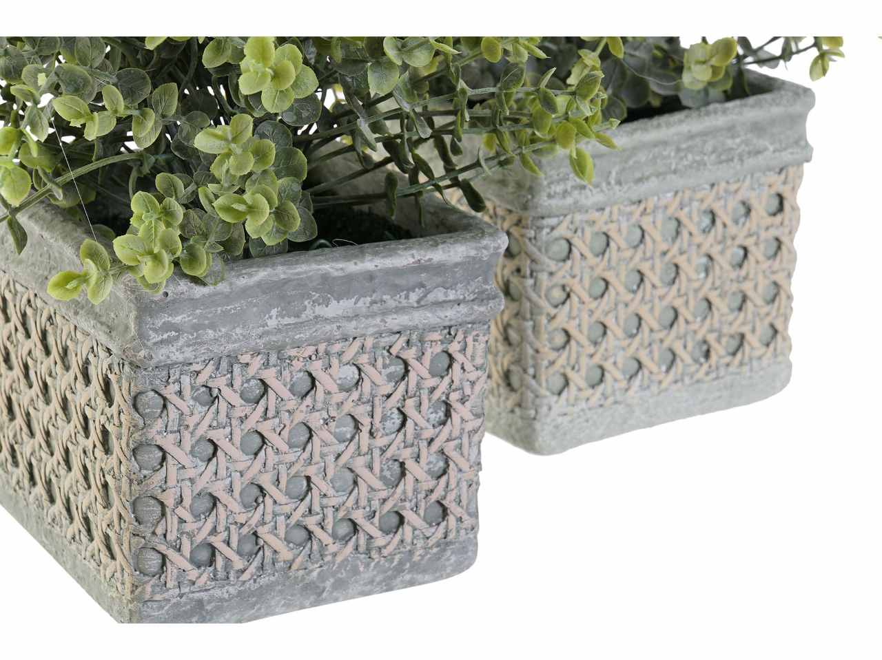Pianta resina 19x19x27cm ja-188717