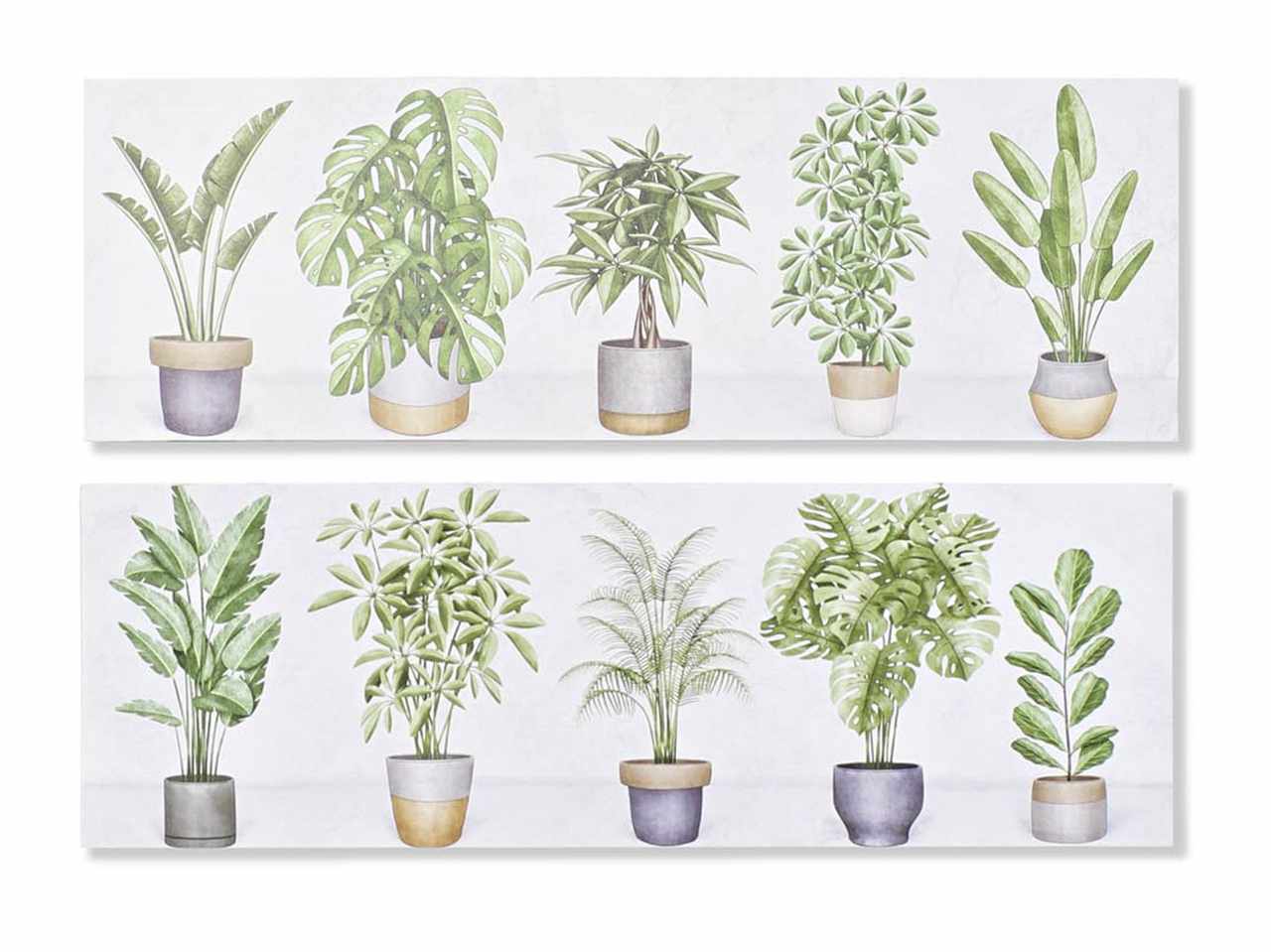 Quadro pianta 90x2,3x30cm cu-193744