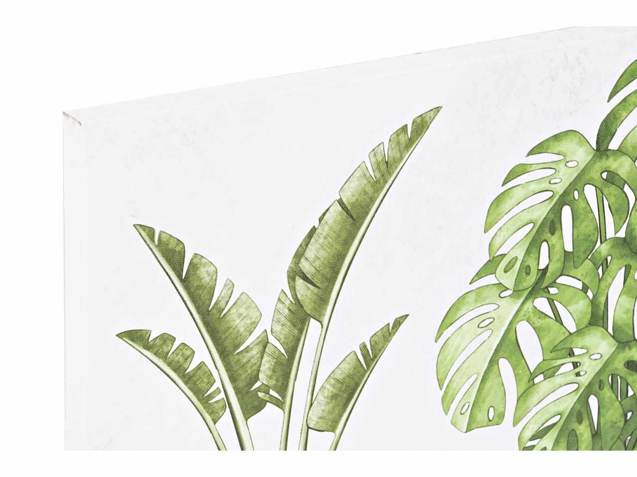 Quadro pianta 90x2,3x30cm cu-193744
