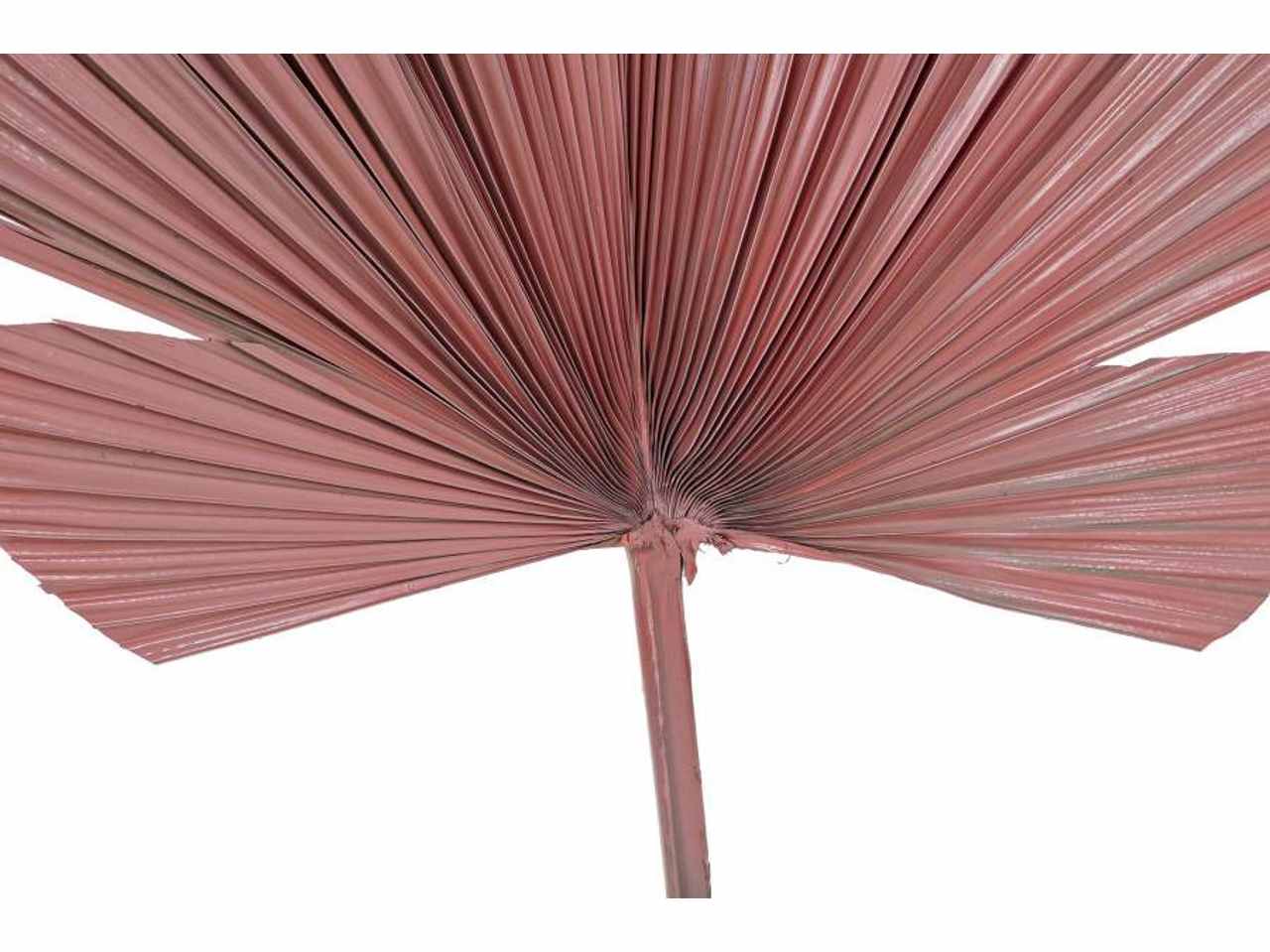 Ramo foglia di palma 50x2x92cm 3 assortimenti