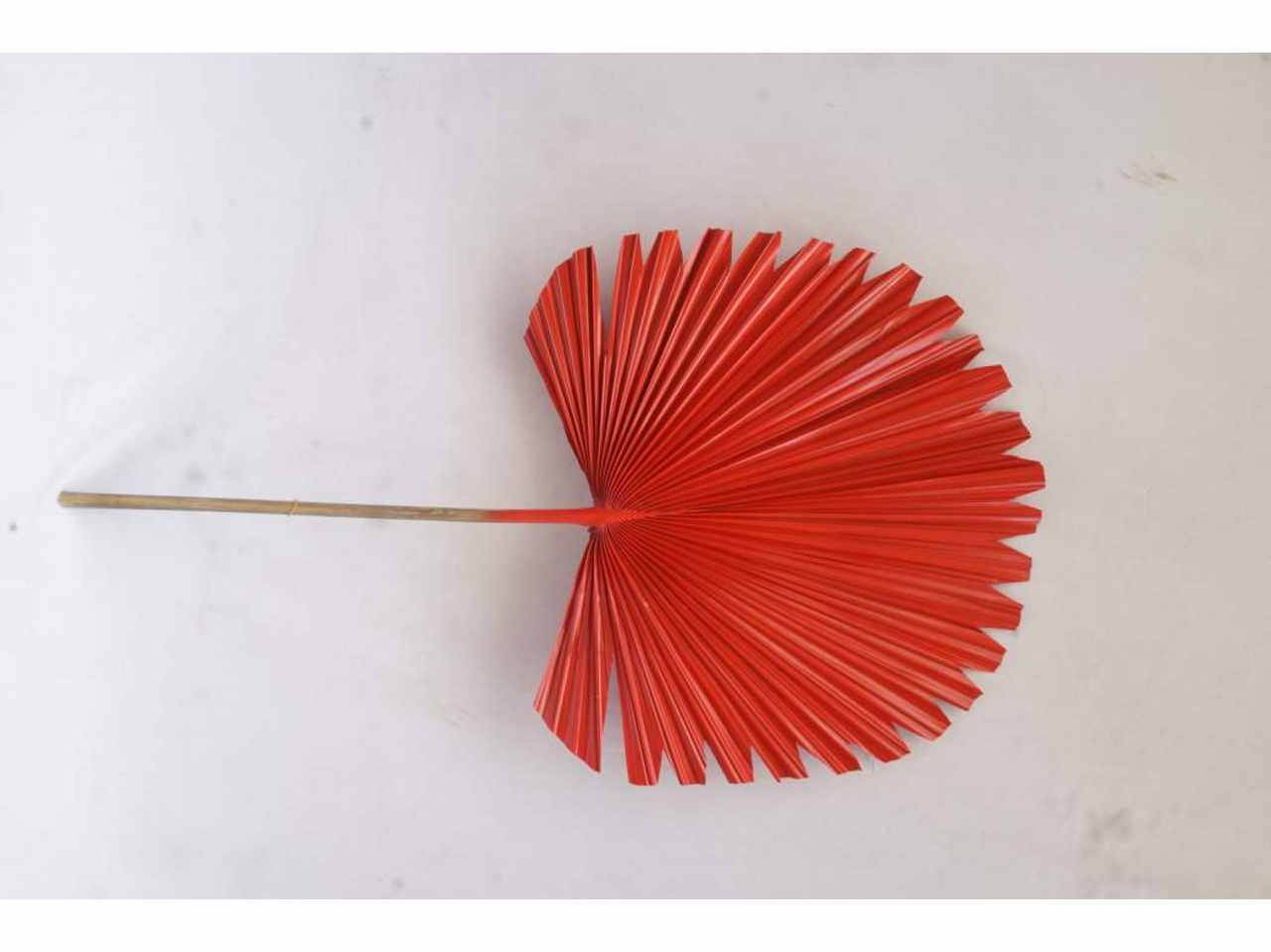 Ramo foglia di palma 50x2x92cm 3 assortimenti