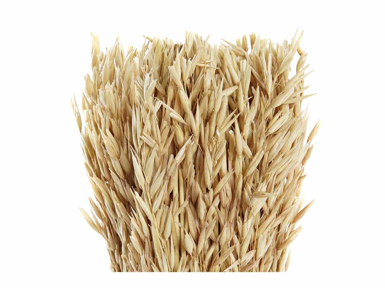 Bouquet fiore secco 11x11x29 naturale