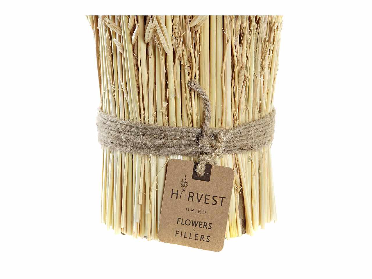 Bouquet fiore secco 11x11x29 naturale