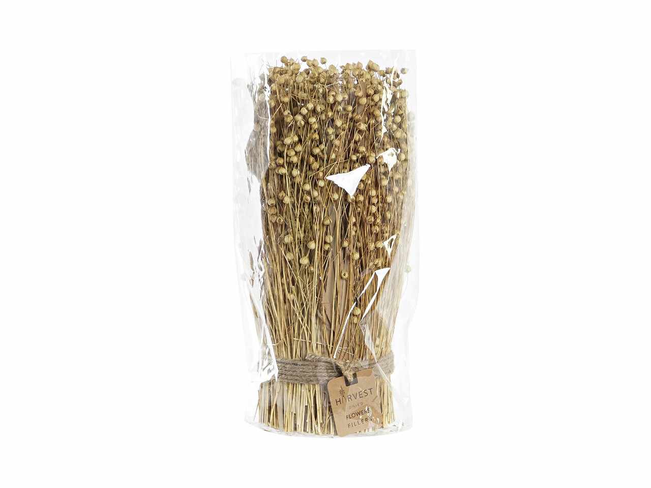 Bouquet fiore secco 12x12x31 naturale
