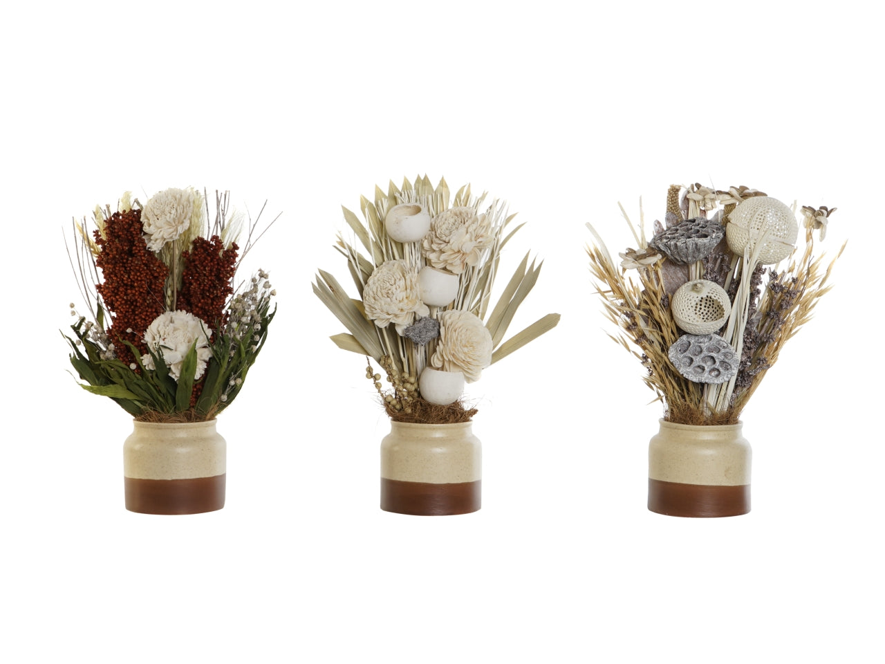 Pianta in ceramica con fiore secco misura 25x14x35cm in 3 modelli assortiti