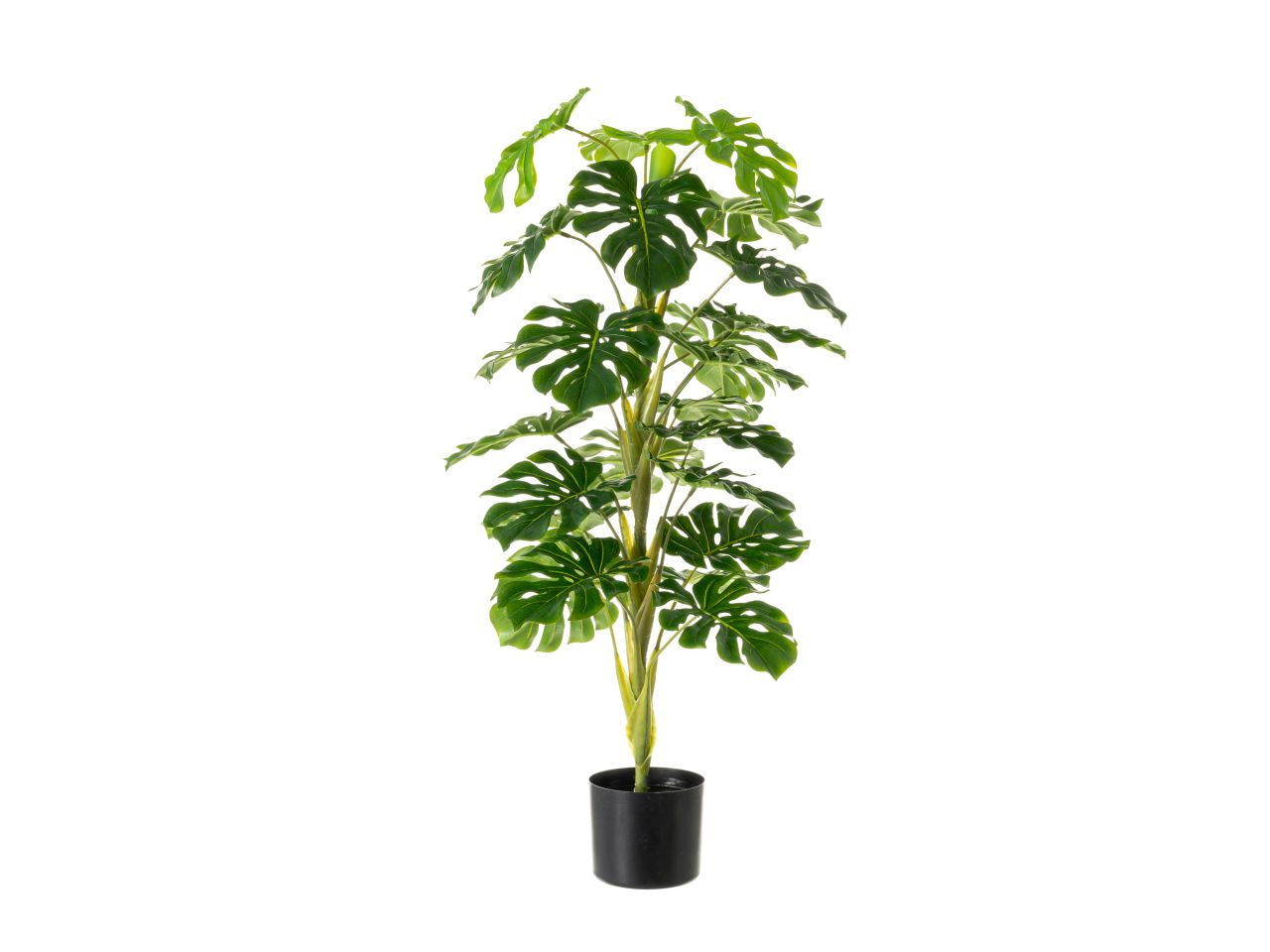 Pianta monstera in plastica misura 45x45x100cm