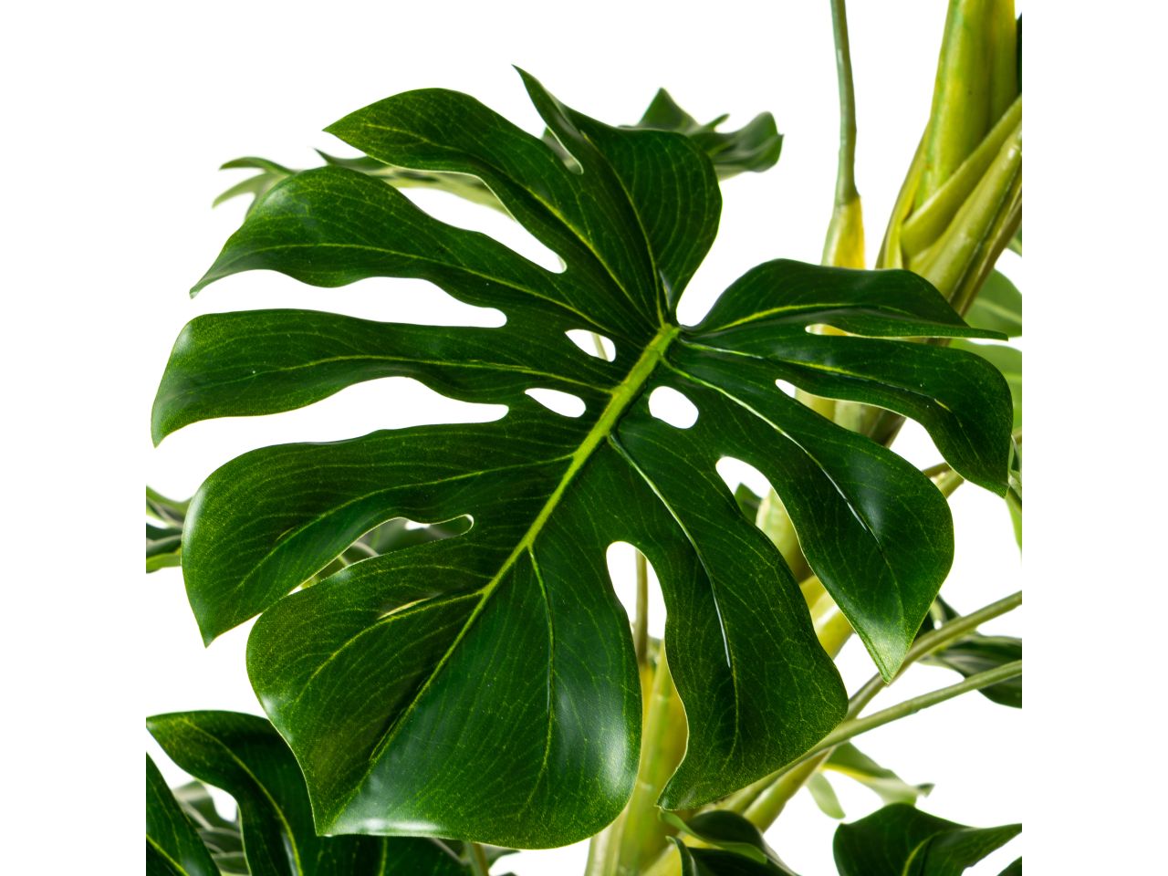 Pianta monstera in plastica misura 45x45x100cm